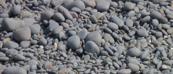 P1010108