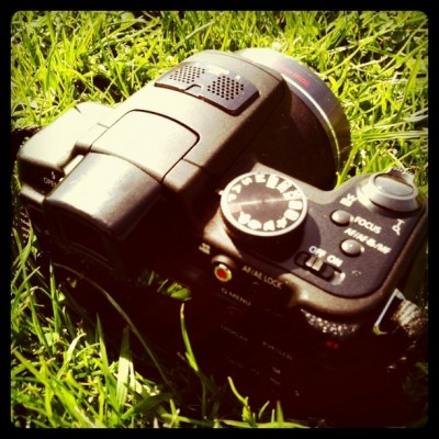 photo (9)